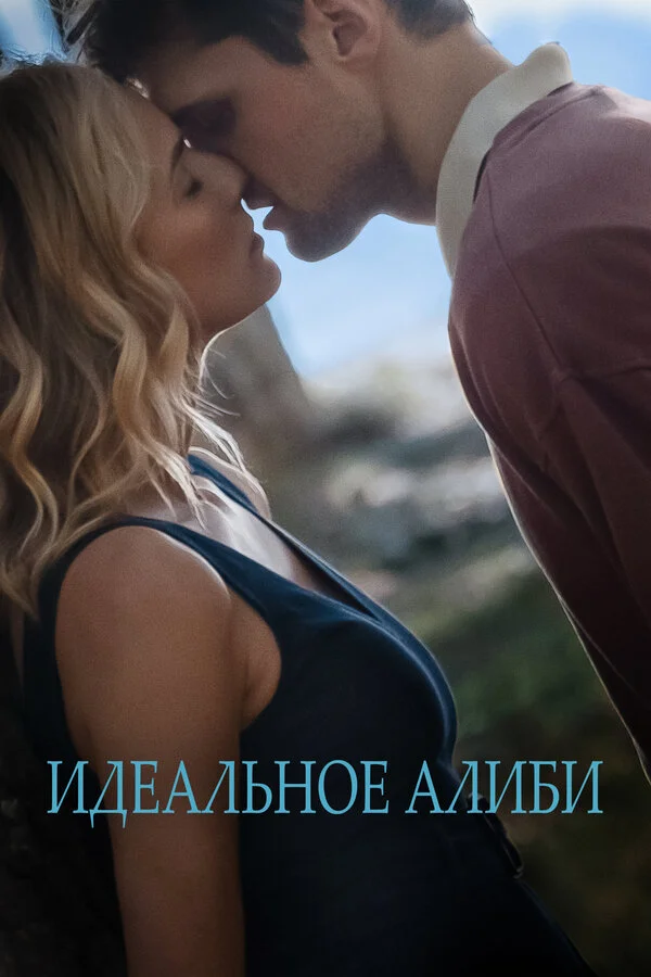 Идеальное алиби постер